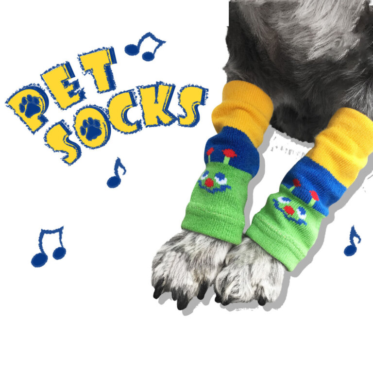 Pets accessories
